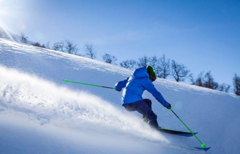 meilleures marques de ski