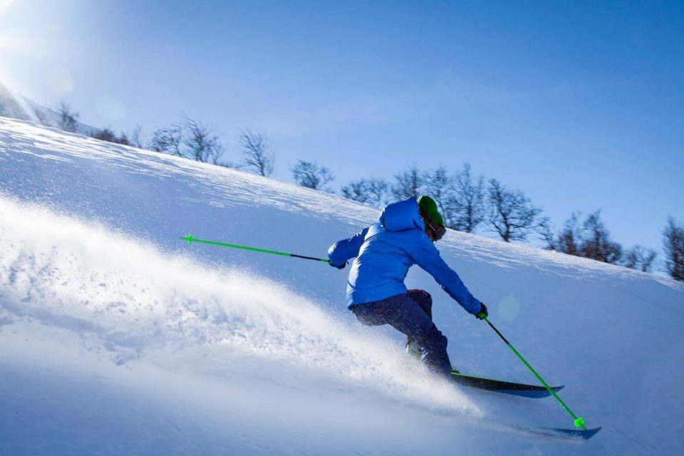 meilleures marques de ski